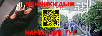 шишки Брянск