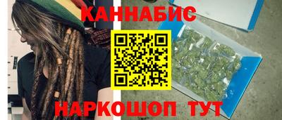 шишки Брянск