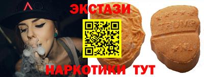 шишки Брянск