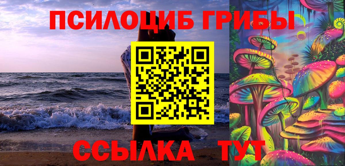 Алушта  Галлюциногенные грибы Psilocybe  Вход с VPN 