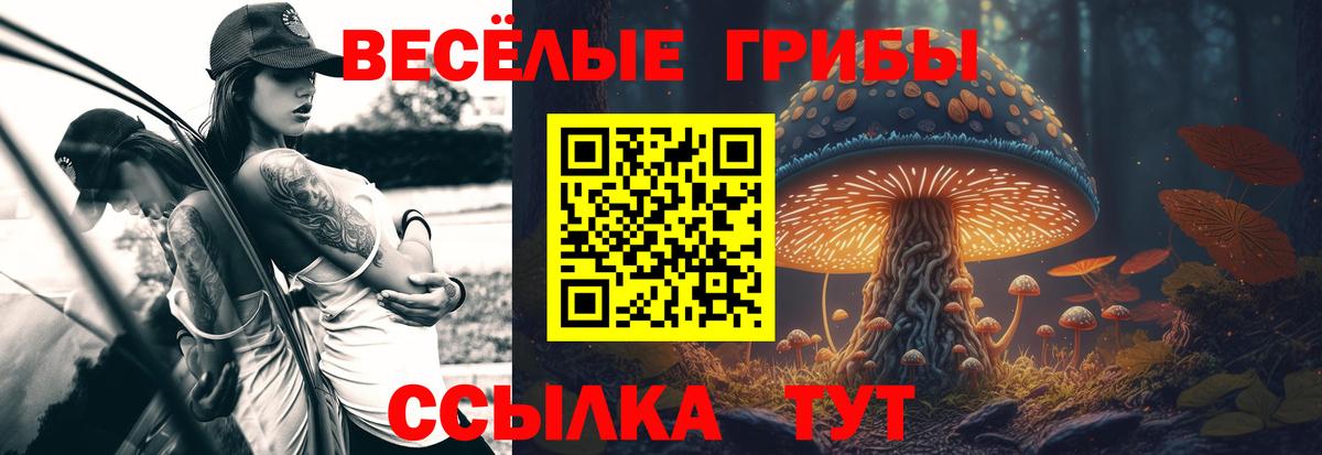 Псилоцибиновые грибы GOLDEN TEACHER Алушта